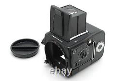 N MINT withSTRAP Hasselblad 201F Medium Format Black Camera 120 Film Back #JAPAN