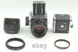 Near Mint Hasselblad 500CM Film Camera CF 80mm f/2.8 Lens A12 II Back Japan